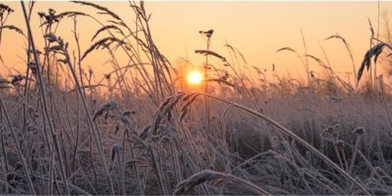 WATCH THIS SPACE*Christmas is on its way and we've even had a few frosty mornings. The Re-B team continues to work on a rich menu of interesting seasonal initiatives...